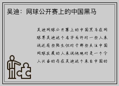 吴迪：网球公开赛上的中国黑马